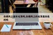 白癜风上面长毛发吗,白癜风上的毛发是白色的吗