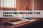 白癜风类型判断 *** 图片大全详解一下,白癜风具体表现