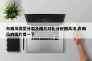 白癜风类型分类及图片对比分析图高清,白癜风的图片看一下