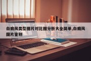 白癜风类型图片对比图分析大全简单,白癜风图片鉴别