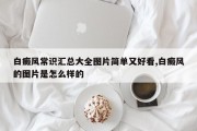 白癜风常识汇总大全图片简单又好看,白癜风的图片是怎么样的