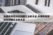 白癜风类型的区别图片分析大全,白癜风类型的区别图片分析大全