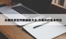 白癜风类型判断图解大全,白癜风的基本特征