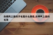 白癜风上面的汗毛是什么颜色,白癜风上面的毛发