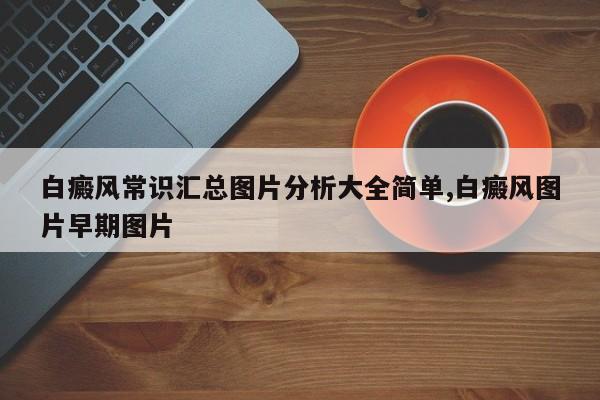 白癜风常识汇总图片分析大全简单,白癜风图片早期图片